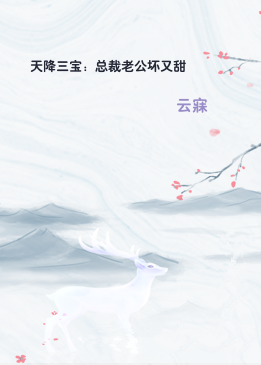 天降三宝：总裁老公坏又甜