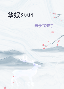 华娱2004