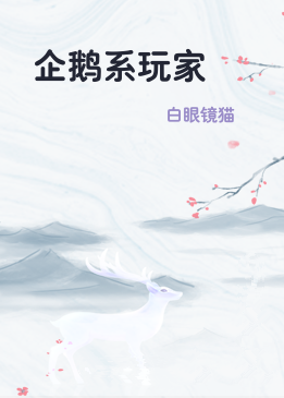 企鹅系玩家