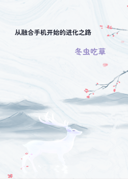 从融合手机开始的进化之路