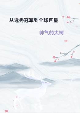 从选秀冠军到全球巨星