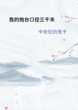 我的炮台口径三千米