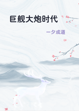 巨舰大炮时代