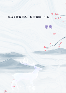 熊孩子毁我手办，反手索赔一千万