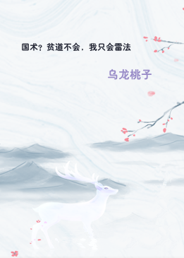 国术？贫道不会，我只会雷法