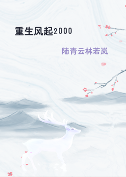 重生风起2000