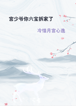 宫少爷你六宝拆家了