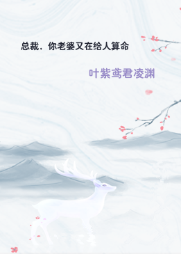 总裁，你老婆又在给人算命
