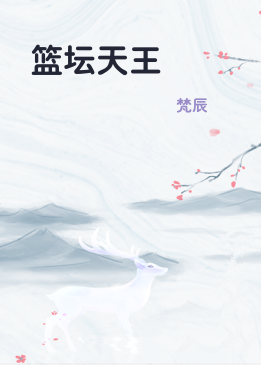 篮坛天王
