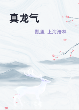 真龙气