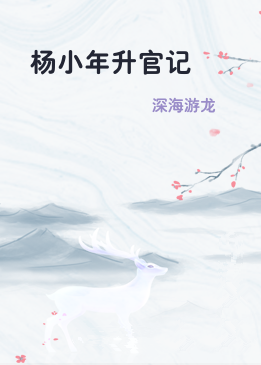 杨小年升官记