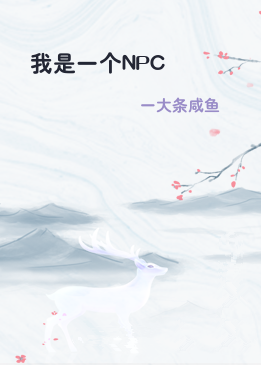 我是一个NPC