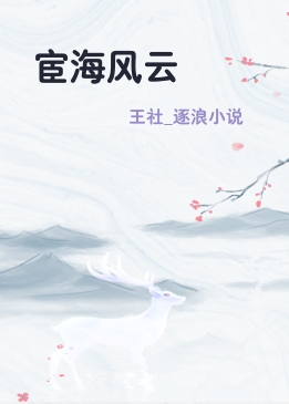 宦海风云