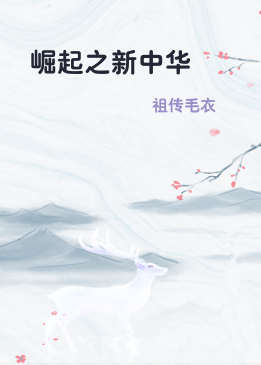 崛起之新中华