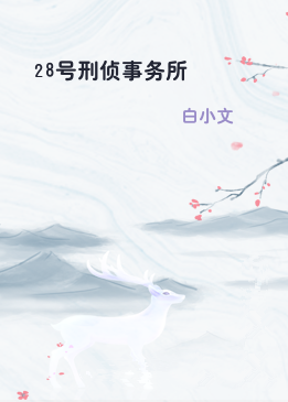 28号刑侦事务所