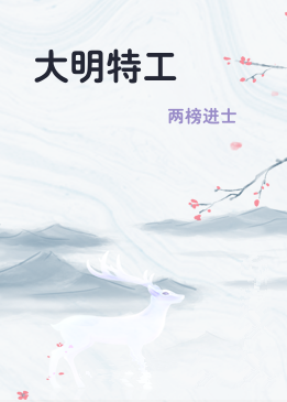 大明特工