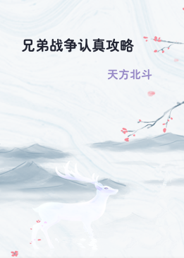 兄弟战争认真攻略