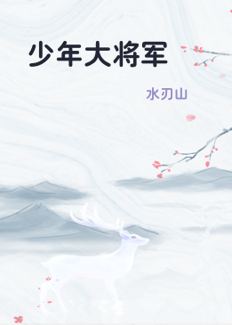 少年大将军