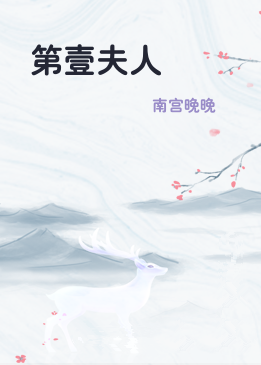 第壹夫人