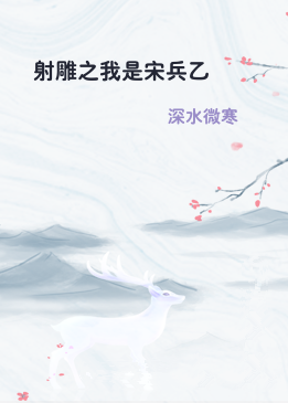 射雕之我是宋兵乙
