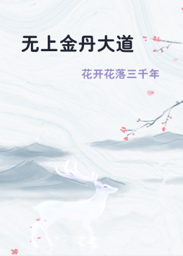 无上金丹大道