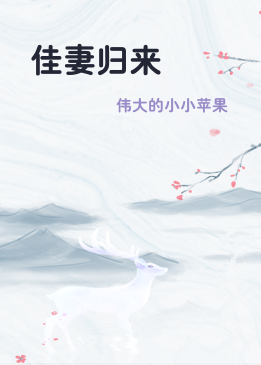 佳妻归来