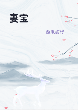 妻宝