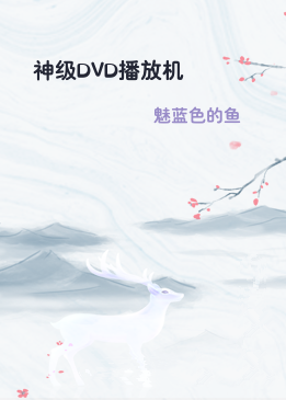 神级DVD播放机