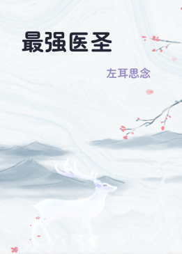 最强医圣