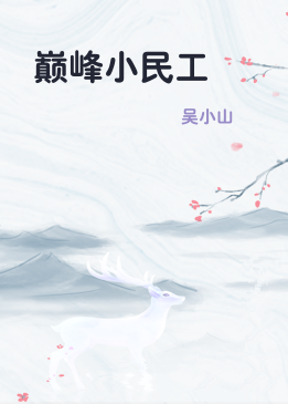 巅峰小民工